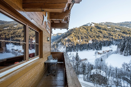 023 Alpensteinbock Saalbach