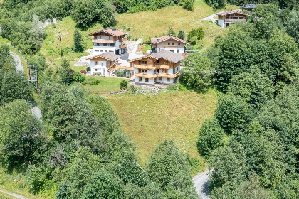 028 Alpensteinbock Saalbach