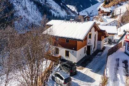 030 Alpensteinbock Saalbach