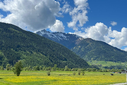 013 11er Kogel
