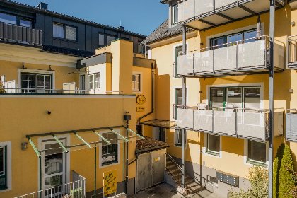020 Murblick