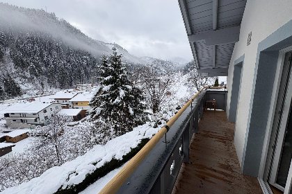 Oostenrijk, Salzburgerland, Viehhofen