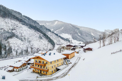 Oostenrijk, Salzburgerland, Viehhofen