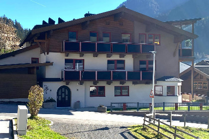 Oostenrijk, Salzburgerland, Viehhofen