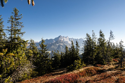 009 Schattbergblick