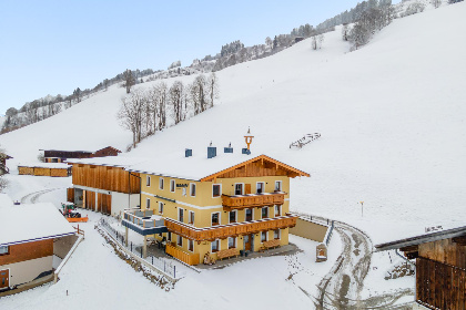 Oostenrijk, Salzburgerland, Viehhofen