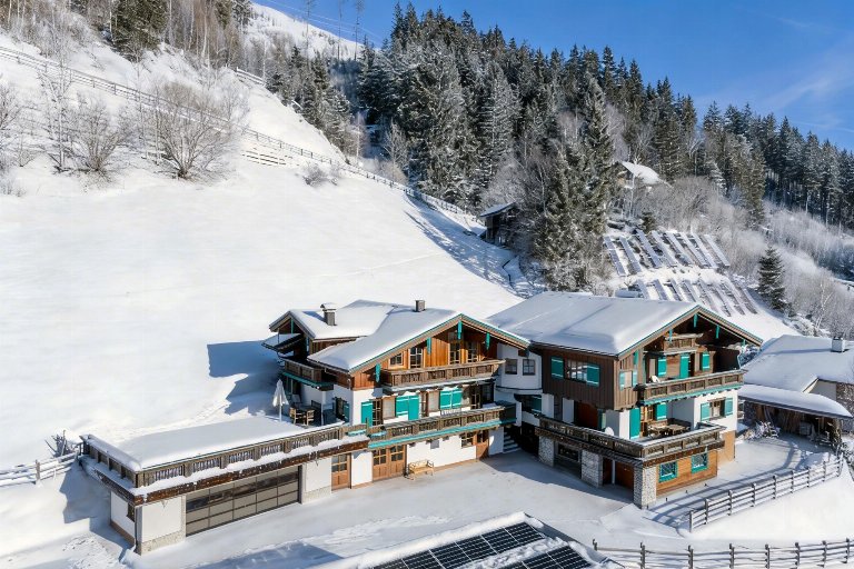 Oostenrijk, Salzburgerland, Wald im Pinzgau