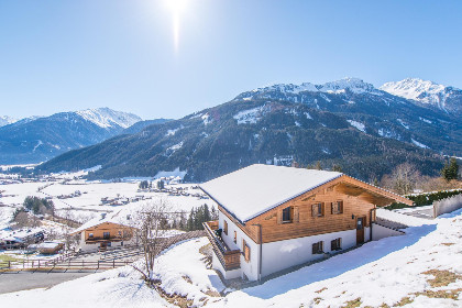 Oostenrijk, Salzburgerland, Wald im Pinzgau