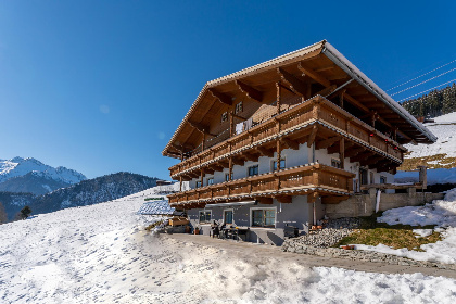 Oostenrijk, Salzburgerland, Wald im Pinzgau