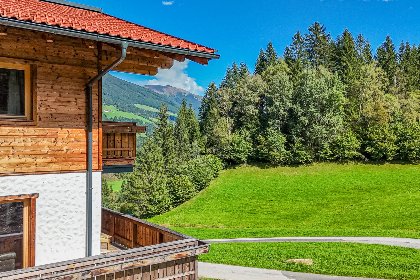 Oostenrijk, Salzburgerland, Wald im Pinzgau