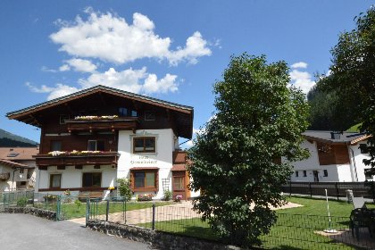 Oostenrijk, Salzburgerland, Wald im Pinzgau