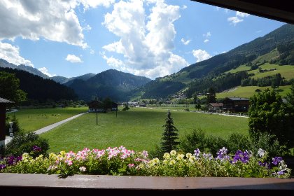 001 Haus Wald OG