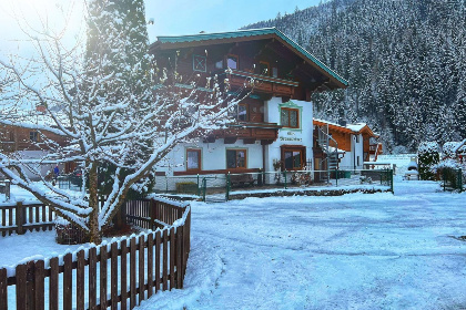 Oostenrijk, Salzburgerland, Wald im Pinzgau