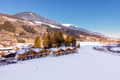 Oostenrijk, Salzburgerland, Wald im Pinzgau