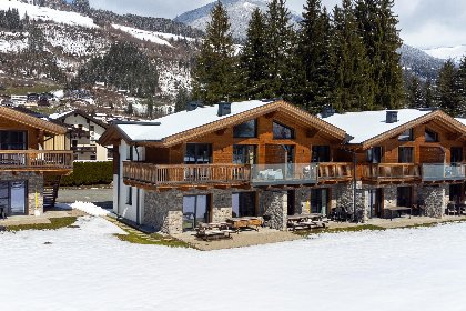 049 Pinzgau Lodge 2B