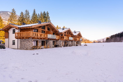 Oostenrijk, Salzburgerland, Wald im Pinzgau