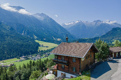 Oostenrijk, Salzburgerland, Wald im Pinzgau