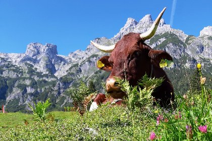 043 Bergblick