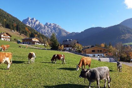 041 Werfenblick