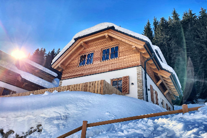 Oostenrijk, Steiermark, Donnersbachwald