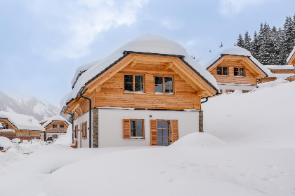 Oostenrijk, Steiermark, Donnersbachwald