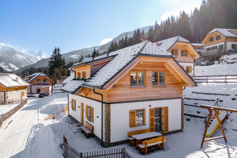Oostenrijk, Steiermark, Donnersbachwald