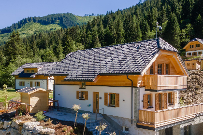 Oostenrijk, Steiermark, Donnersbachwald