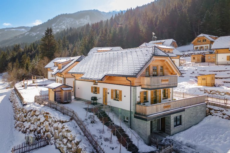 Oostenrijk, Steiermark, Donnersbachwald
