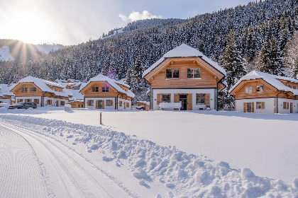 Oostenrijk, Steiermark, Donnersbachwald