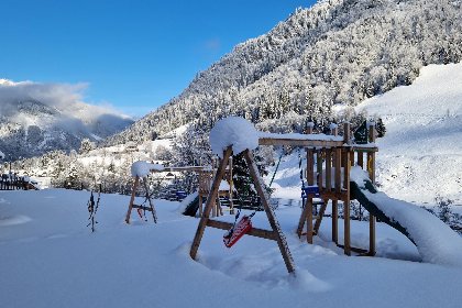 031 Auerhahn
