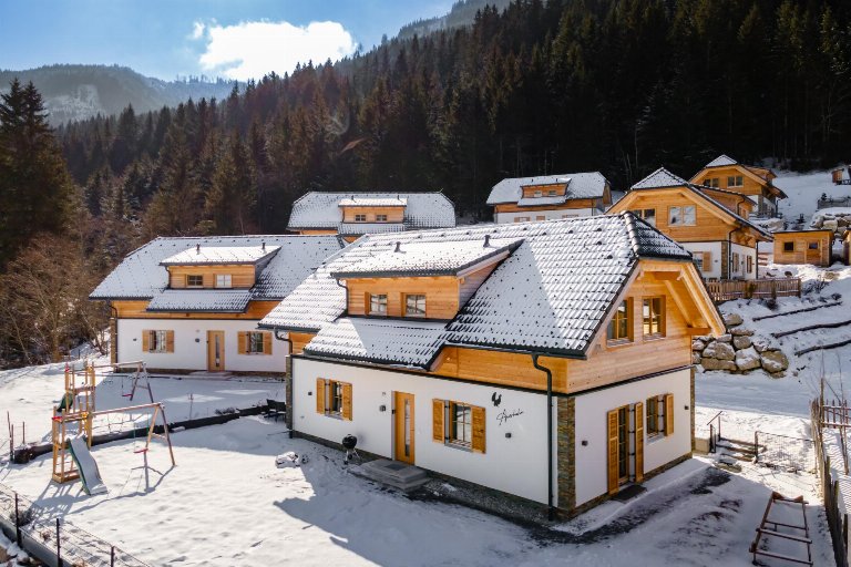 Oostenrijk, Steiermark, Donnersbachwald