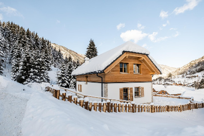 Oostenrijk, Steiermark, Donnersbachwald