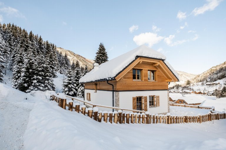 Oostenrijk, Steiermark, Donnersbachwald