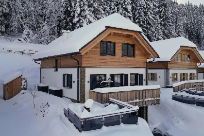 Oostenrijk, Steiermark, Donnersbachwald