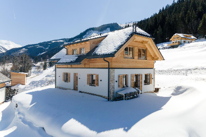 Oostenrijk, Steiermark, Donnersbachwald