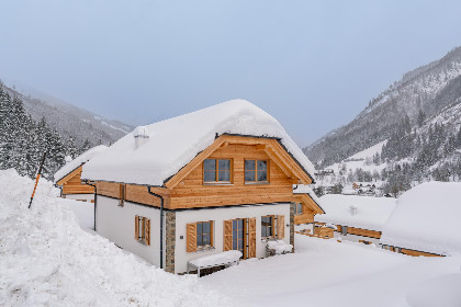 035 Chalet Pretzel