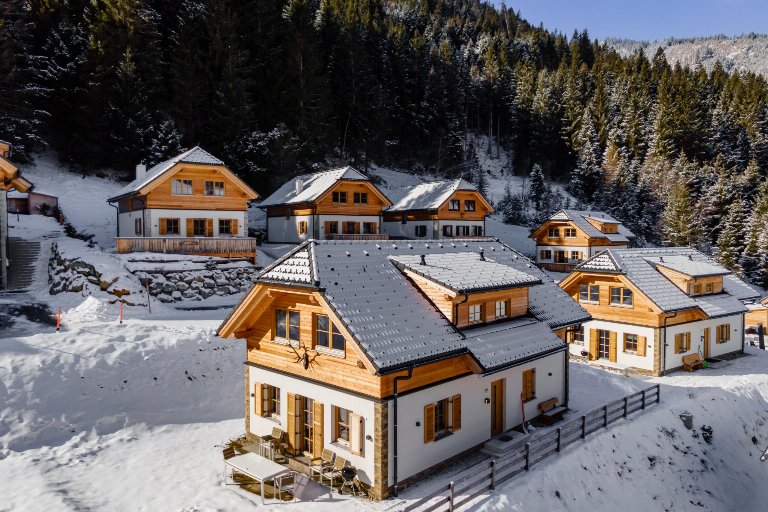 Oostenrijk, Steiermark, Donnersbachwald