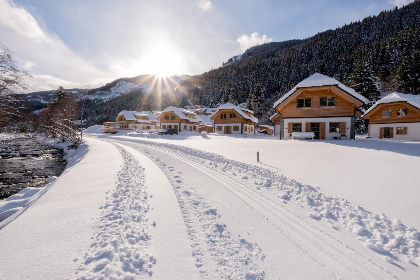 Oostenrijk, Steiermark, Donnersbachwald