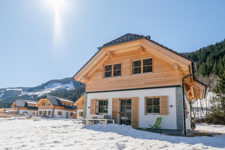 Oostenrijk, Steiermark, Donnersbachwald