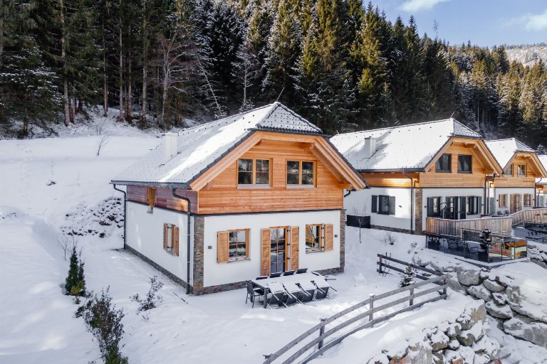 Oostenrijk, Steiermark, Donnersbachwald