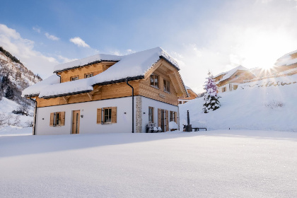 Oostenrijk, Steiermark, Donnersbachwald