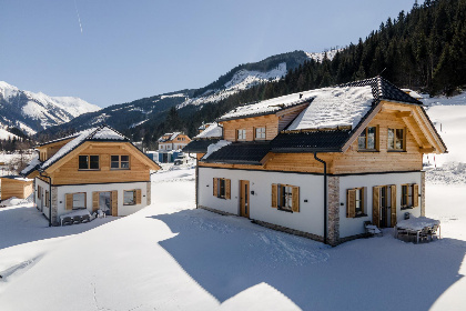 Oostenrijk, Steiermark, Donnersbachwald