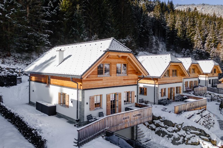 Oostenrijk, Steiermark, Donnersbachwald