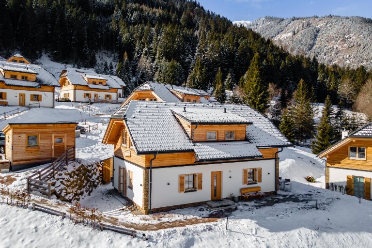 Oostenrijk, Steiermark, Donnersbachwald