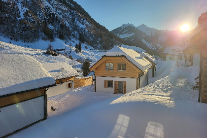 Oostenrijk, Steiermark, Donnersbachwald