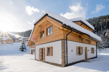 Oostenrijk, Steiermark, Donnersbachwald