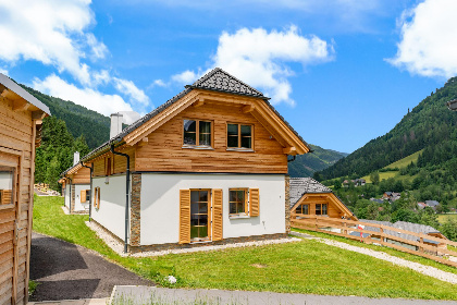 Oostenrijk, Steiermark, Donnersbachwald