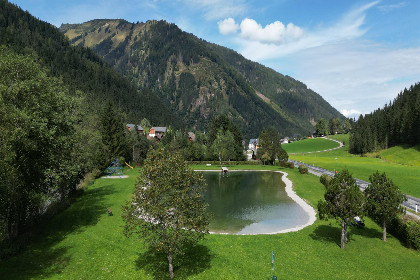 038 Hirschblick