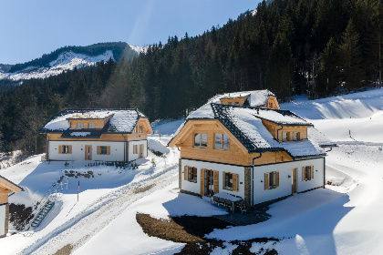 Oostenrijk, Steiermark, Donnersbachwald