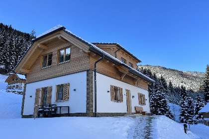 Oostenrijk, Steiermark, Donnersbachwald